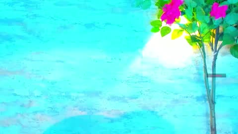  AMELIA.  online show from 10/01/25, 09:21