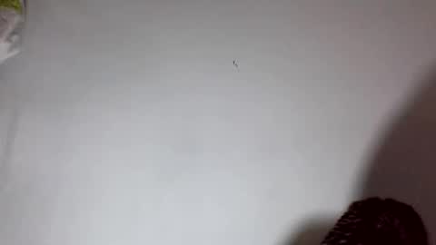 amelisy20005 online show from 02/22/26, 06:46