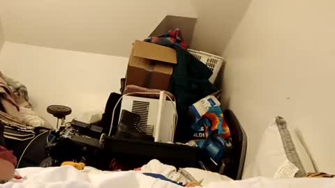 amileamariestar online show from 12/16/24, 07:15