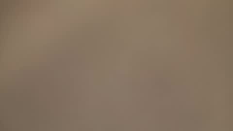 AmorLin online show from 03/30/26, 12:11