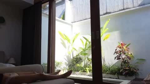 Snapshot of amyalwayshere chatting on 03/03/25, 07:54 girl next door named Amy online show from 03/03/25, 07:54