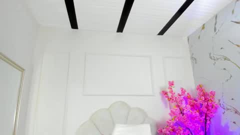 Amykord online show from 10/15/25, 11:32