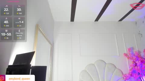 Amykord online show from 10/24/25, 11:28