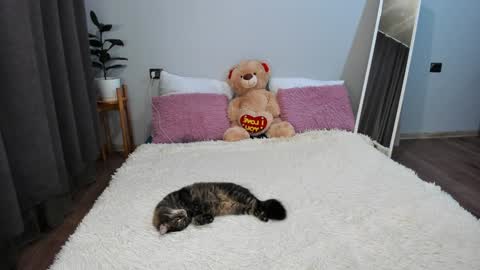 Snapshot of amymilson chatting on 12/20/24, 03:21 amymilson online show from 12/20/24, 03:21