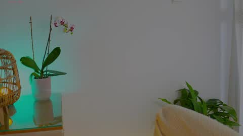 anabelcurvy online show from 05/24/26, 09:58