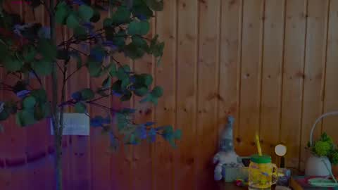anabelcurvy online show from 06/12/26, 02:16
