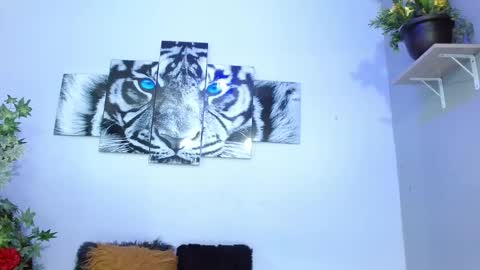 Analia online show from 02/01/25, 05:05