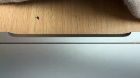 analloverextreme online show from 05/08/26, 08:25