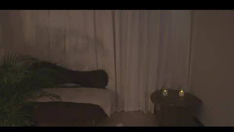 Ann online show from 04/10/26, 07:18