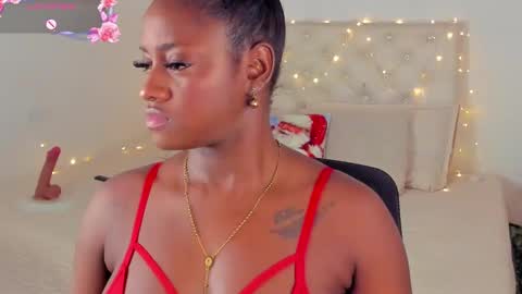 A N A  my connection hours are from 600 pm to 12 pm Colombian time online show from 12/14/24, 03:18