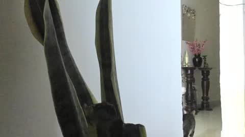 Ana Pakerman online show from 03/09/25, 12:42