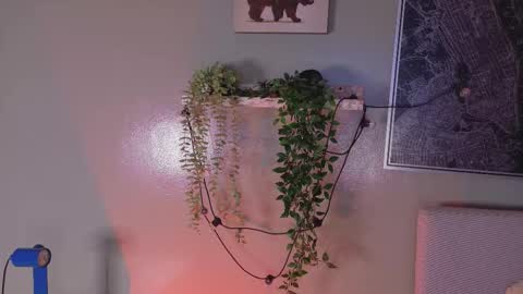 Kendra  online show from 02/20/26, 10:16