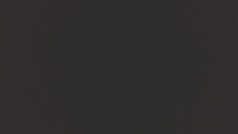   online show from 11/19/25, 11:21