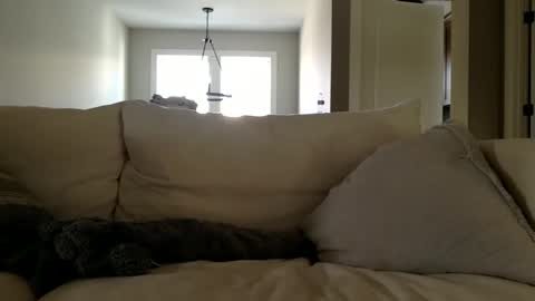 Andees222 online show from 12/19/25, 04:36