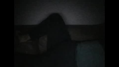 andellus online show from 11/02/25, 11:18