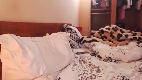 Snapshot of andrasweetie chatting on 01/27/25, 08:29 Andra online show from 01/27/25, 08:29