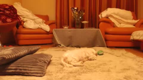 Snapshot of andrasweetie chatting on 11/18/25, 10:25 Andra online show from 11/18/25, 10:25