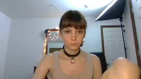 Snapshot of andrea_davenport chatting on 12/11/24, 04:49 andrea online show from 12/11/24, 04:49