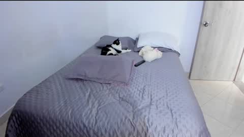 Snapshot of andrea_loaiza2 chatting on 03/02/25, 09:43 Andrea online show from 03/02/25, 09:43