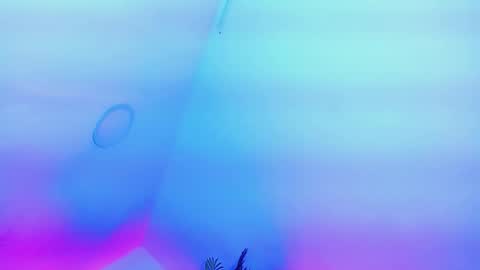 ANDREINA online show from 02/13/26, 08:38