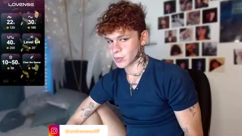 Snapshot of andreewwolffman chatting on 12/27/24, 05:20 Andrew online show from 12/27/24, 05:20