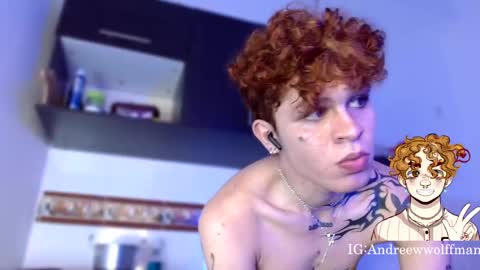 Snapshot of andreewwolffman chatting on 01/14/25, 04:15 Andrew online show from 01/14/25, 04:15