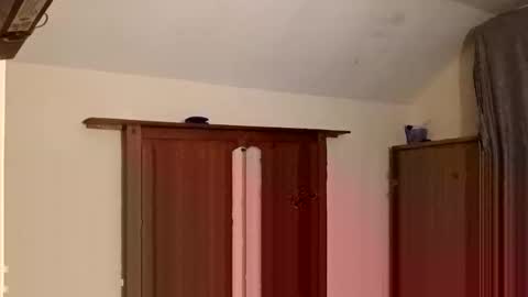 andresalvarez132169 online show from 02/23/26, 04:21