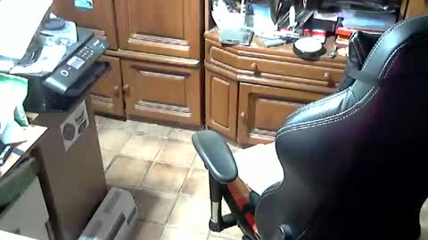 androgynia online show from 10/17/25, 11:57