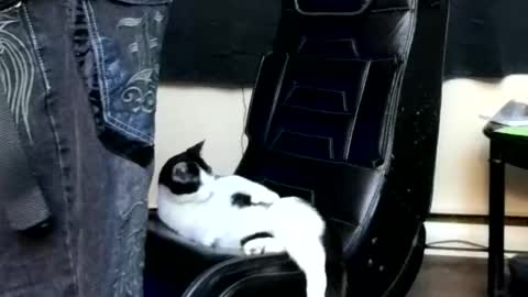 andybadass online show from 04/11/26, 02:32