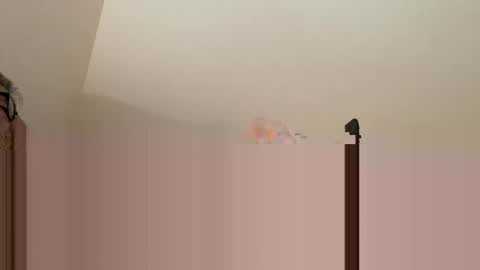 andysap online show from 01/11/25, 01:22