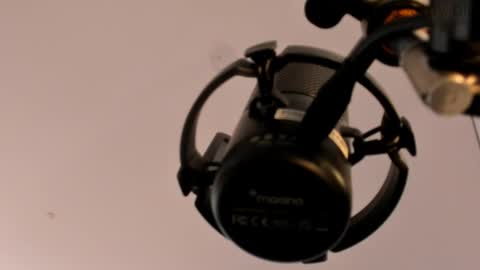      online show from 03/11/25, 03:56