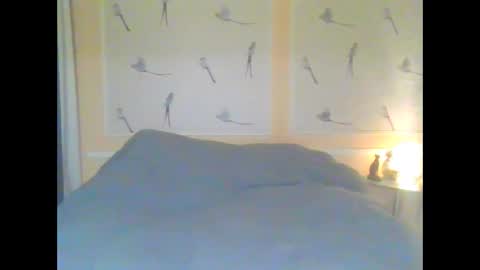 Alinessa online show from 04/01/26, 05:21