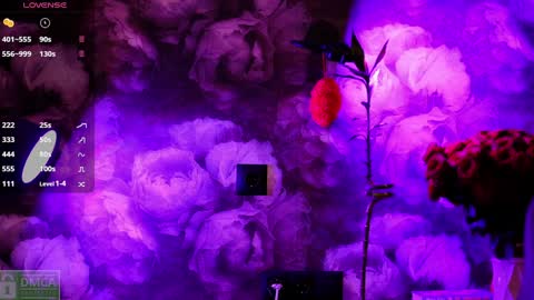 Snapshot of angeellina chatting on 01/03/25, 05:20 angeellina online show from 01/03/25, 05:20