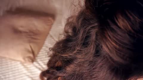 Angelica online show from 01/20/25, 10:40