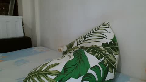 Snapshot of angelicbabexxx chatting on 02/19/25, 12:57 Angela online show from 02/19/25, 12:57