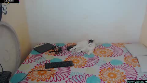 Snapshot of angielee01 chatting on 01/20/25, 01:11 Angie y Andres online show from 01/20/25, 01:11