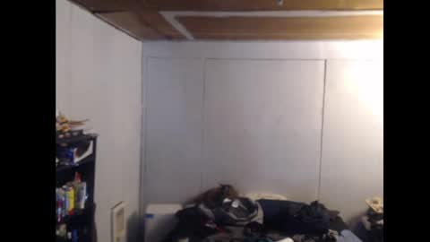 Ani online show from 02/25/25, 11:08