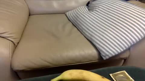 animal_michael online show from 12/21/24, 03:47