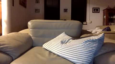 animal_michael online show from 12/29/24, 11:39