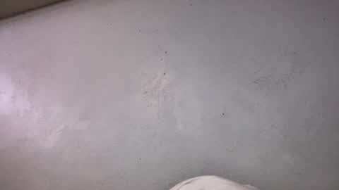 Animeboygirls online show from 10/19/25, 06:36