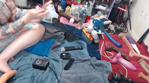 Twitter at animegamergrl. No vids for sale on Chaturbate. online show from 06/08/26, 02:01