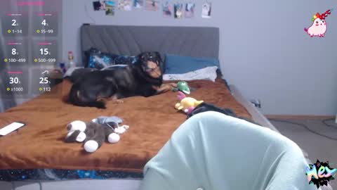 Snapshot of anna_ana chatting on 02/25/25, 07:03 Anadirectgirl online show from 02/25/25, 07:03