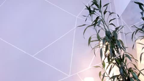 Anna online show from 12/13/24, 03:54