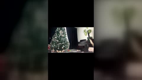 anna_nobel online show from 12/14/25, 11:04