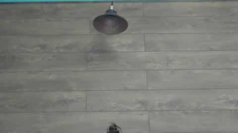 annasplash online show from 03/12/25, 05:46