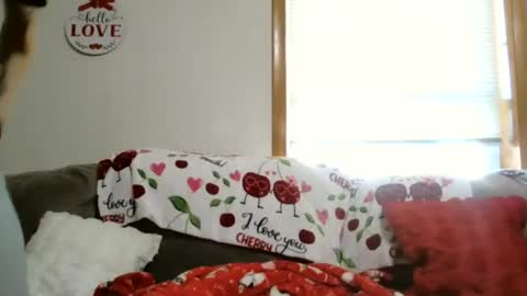 anne online show from 01/05/26, 05:49