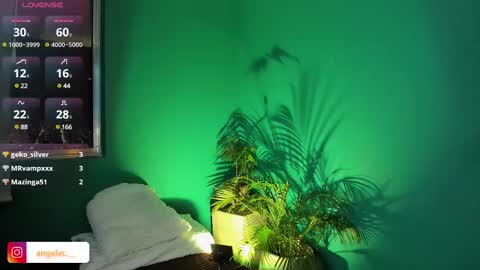 Snapshot of anne_babb chatting on 02/15/25, 11:58 ANG online show from 02/15/25, 11:58