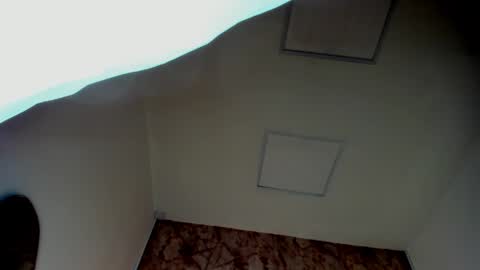 ANTON online show from 03/23/26, 11:36