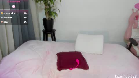 Snapshot of annubis_lia chatting on 02/18/25, 07:21 SOFIA INDEPENDENT MODEL online show from 02/18/25, 07:21