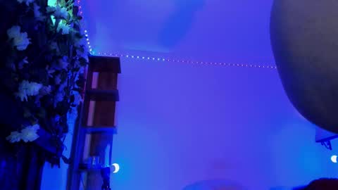 Anny online show from 01/31/26, 07:11